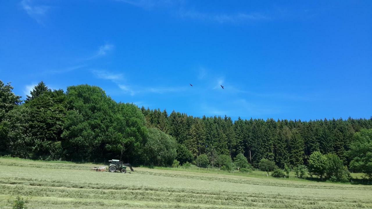 Winterberg Hillesee Exterior foto